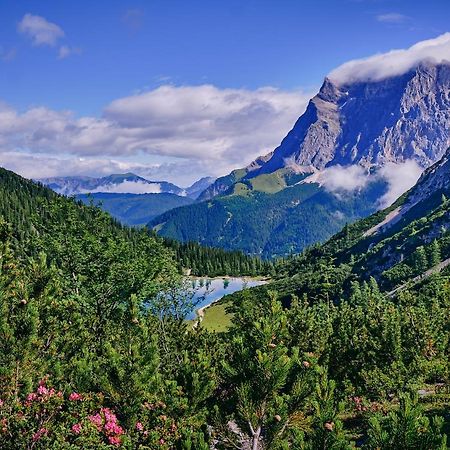 Haus Lorea Эрвальд Экстерьер фото