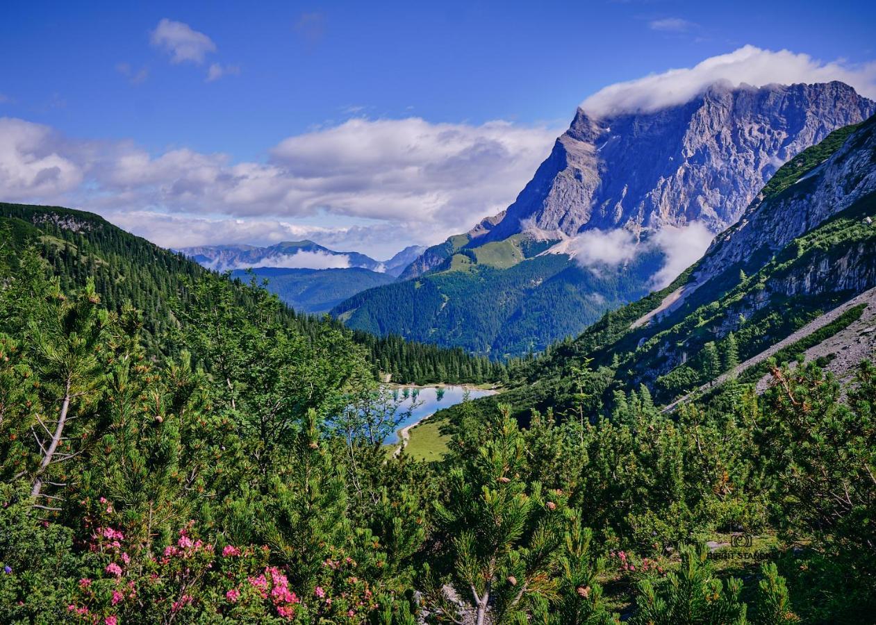 Haus Lorea Эрвальд Экстерьер фото